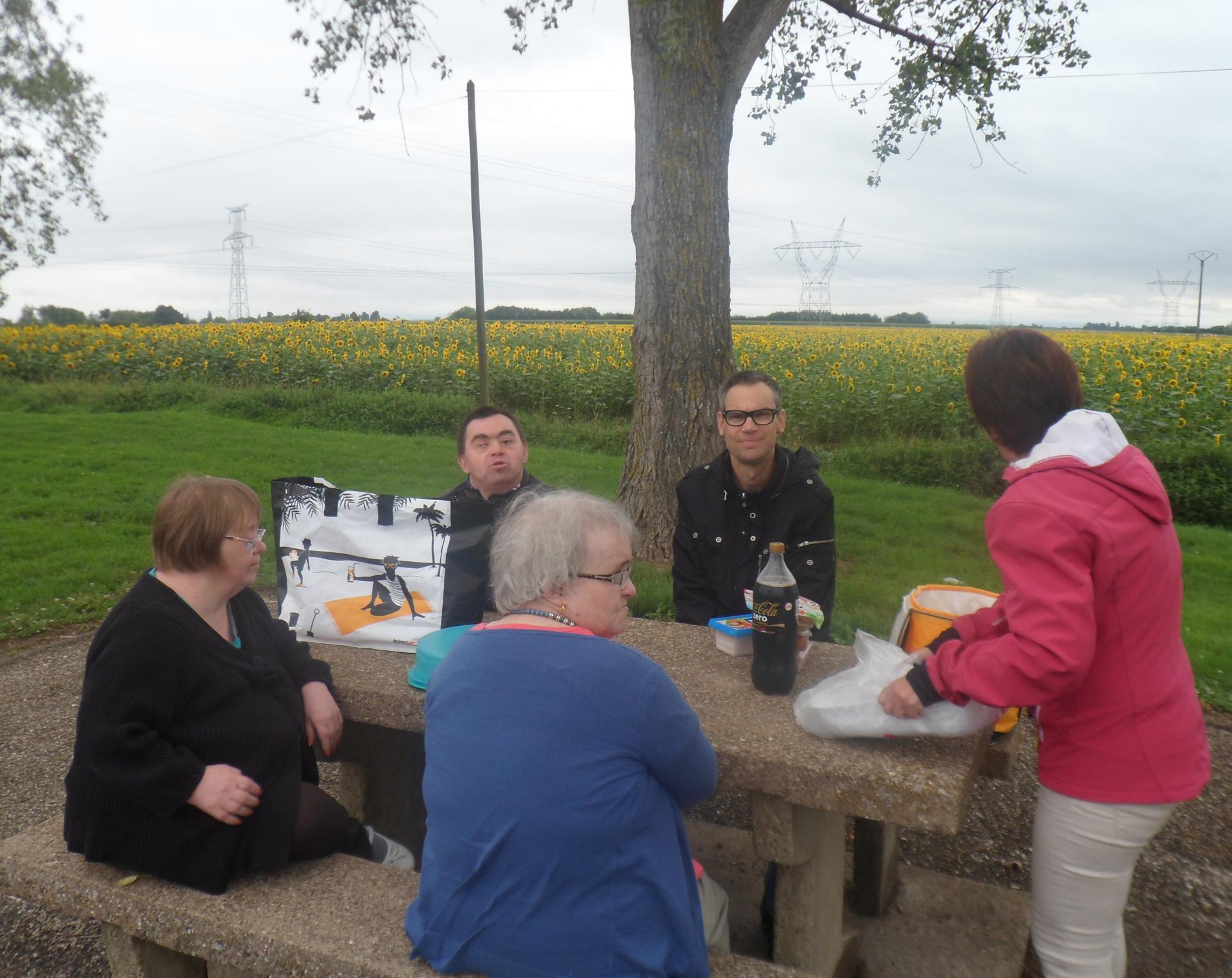 Petite pause pique-nique sur la route du départ